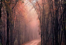 [图]亚历山大26分 雷霆客场2分险胜快船完成赛季四杀.