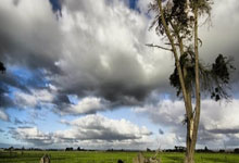 图赫尔:我们要组建合适而非最强球队;福登%能和贝林搭档.