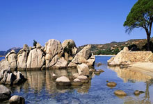 德转列足总杯历史夺冠榜:阿森纳压曼联居首,曼城&维拉各7冠.